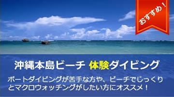沖縄本島ビーチ体験ダイビング